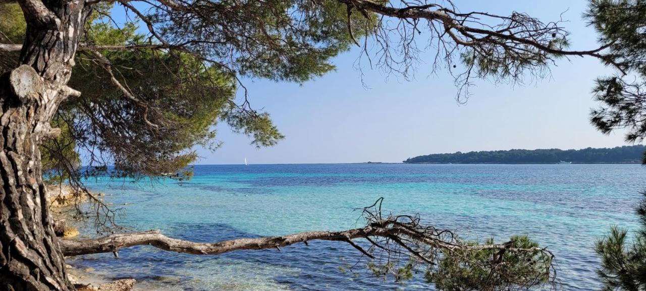 Appartamento Les Grenadines Du Samedi Au Samedi Antibes Esterno foto